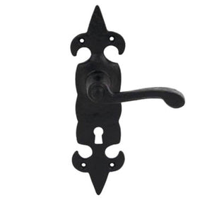 Black Lever Handles Fleur De Lys