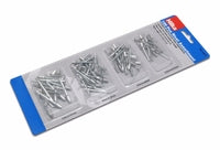 Hilka 100 Piece Rivet Assortment